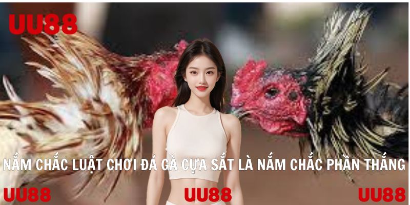 Nắm chắc luật chơi đá gà cựa sắt là nắm chắc phần thắng